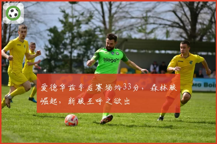 爱德华兹季后赛场均33分,森林狼崛起,新狼王呼之欲出