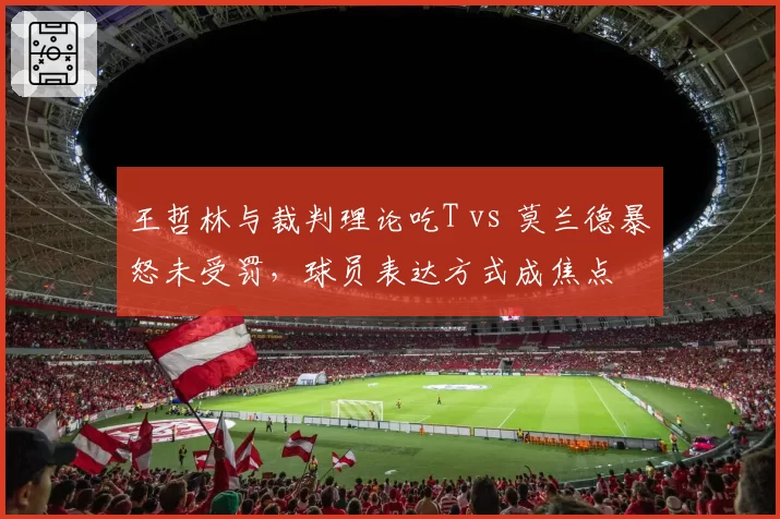 王哲林与裁判理论吃T vs 莫兰德暴怒未受罚,球员表达方式成焦点