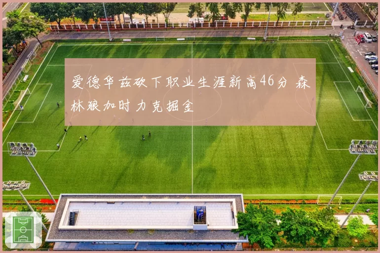 爱德华兹砍下职业生涯新高46分 森林狼加时力克掘金