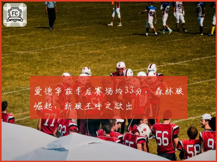 爱德华兹季后赛场均33分，森林狼崛起，新狼王呼之欲出