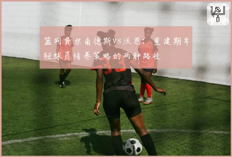 篮网费尔南德斯vs沃恩：重建期年轻球员培养策略的两种路径