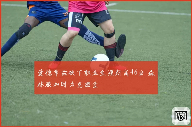 爱德华兹砍下职业生涯新高46分 森林狼加时力克掘金