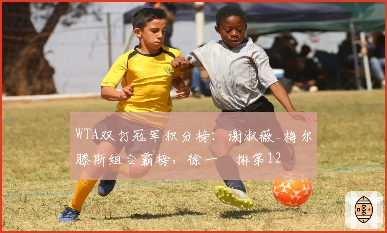 WTA双打冠军积分榜：谢淑薇_梅尔滕斯组合霸榜，徐一璠排第12